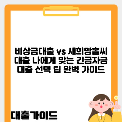 비상금대출 vs 새희망홀씨 대출: 나에게 맞는 긴급자금 대출 선택 팁 완벽 가이드