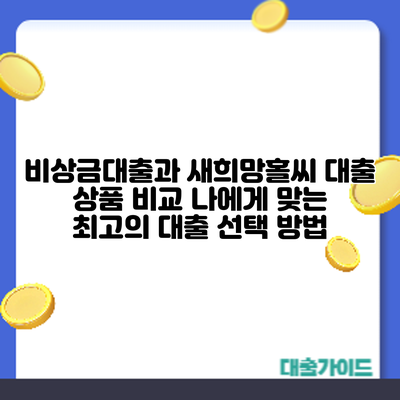 비상금대출과 새희망홀씨 대출 상품 비교: 나에게 맞는 최고의 대출 선택 방법
