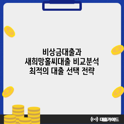 비상금대출과 새희망홀씨대출 비교분석: 최적의 대출 선택 전략