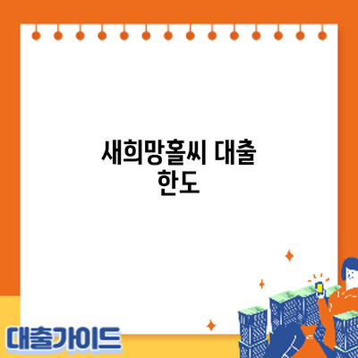 새희망홀씨 대출: 한도