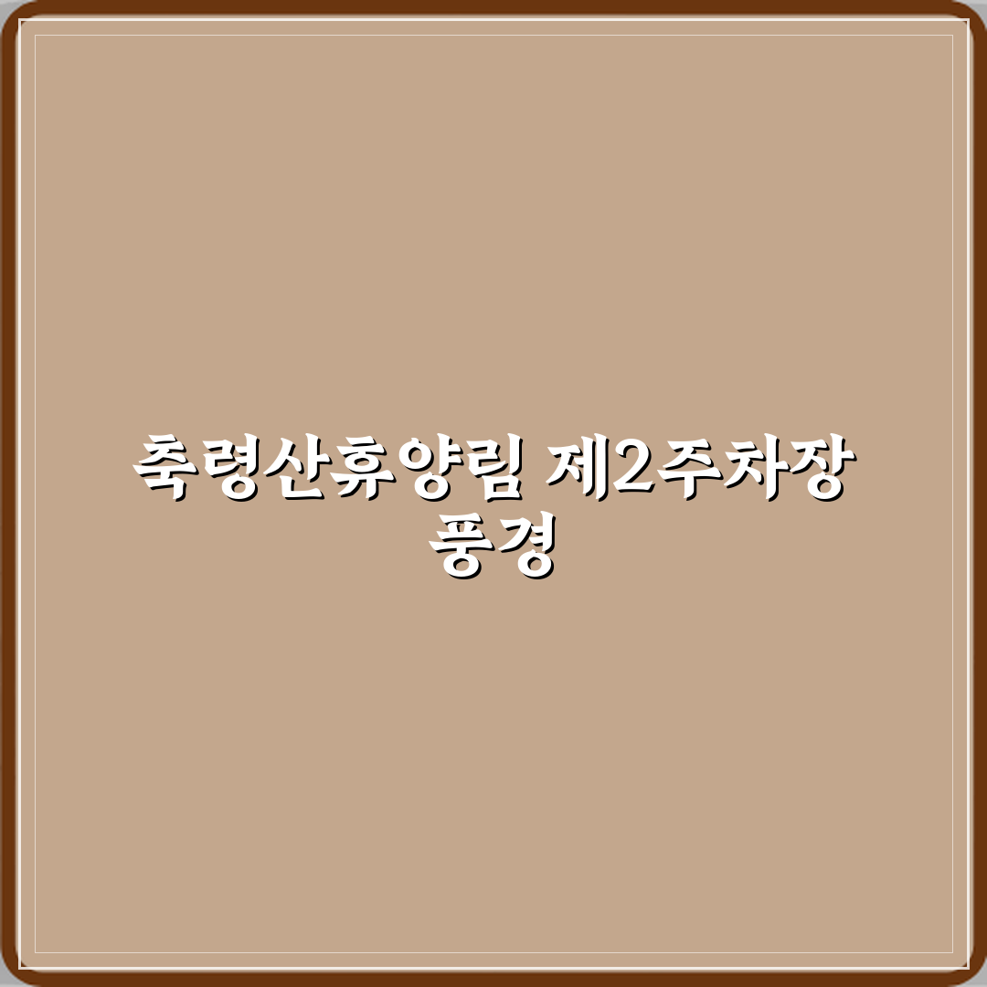 축령산자연휴양림제2주차장 방문기 | 주차 편리성 솔직 후기